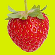strawberry_cut.png
