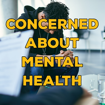 Mental Health Panel.png