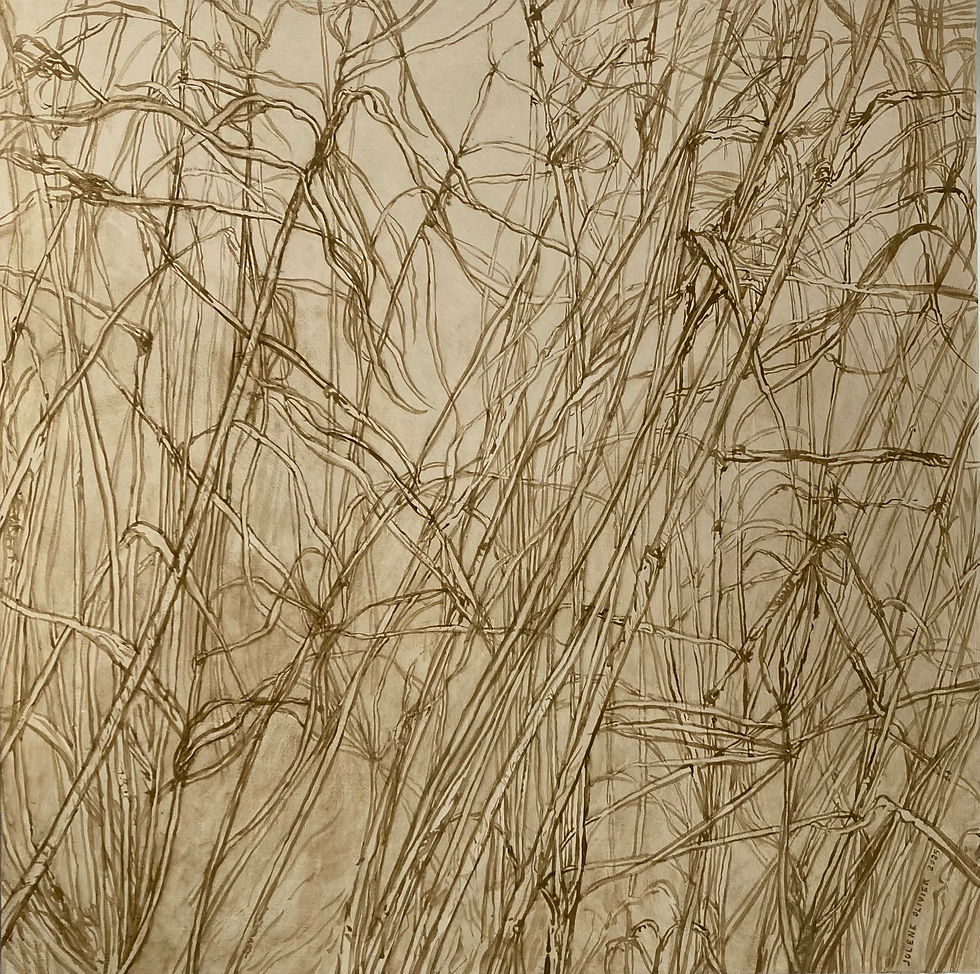 In Suspended Light