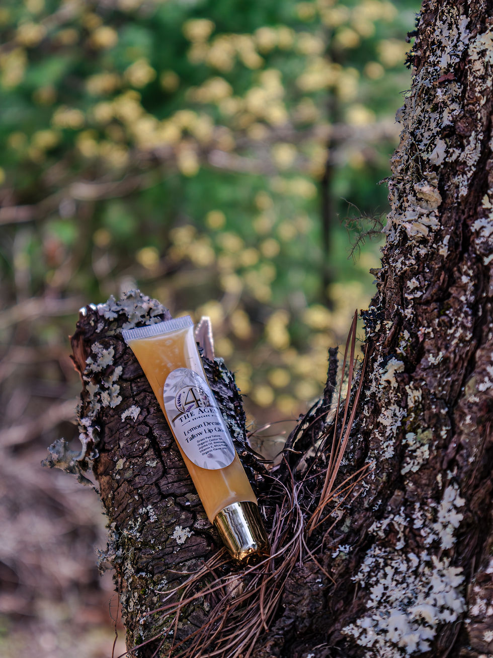 Thumbnail: Tallow Lip Gloss