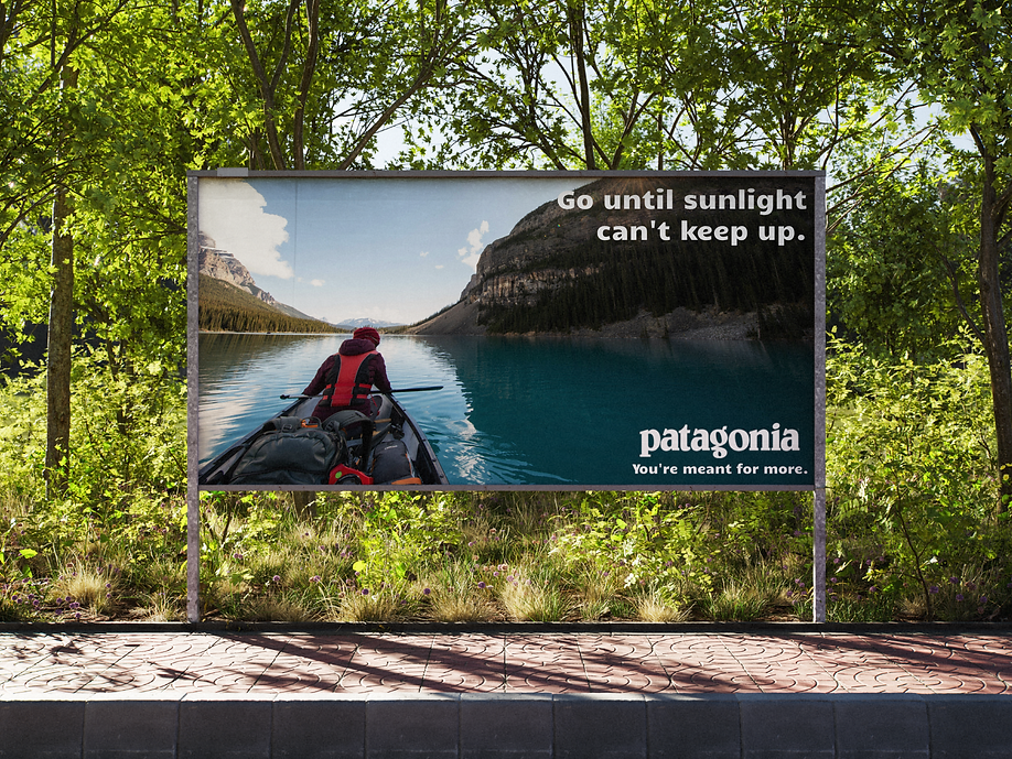 Patagonia Billboard 2.png