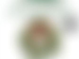 Deck the Halls & Support Lambert Bands!