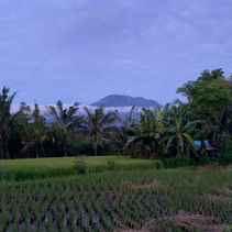 Sidemen – The Gentle Soul of Bali