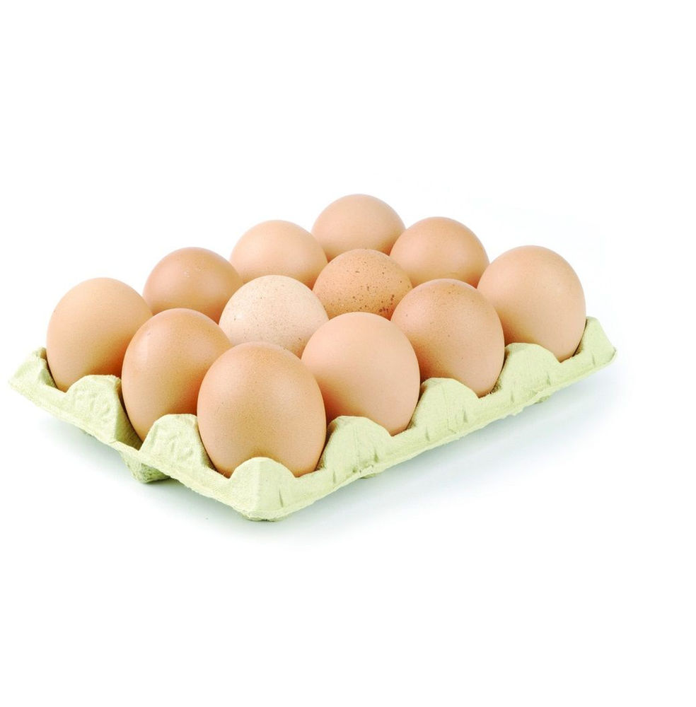 Best Quality Wholesale Fertilized Chicken Eggs Cobb 500 Broiler Chicken
