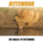Botswana Bushways