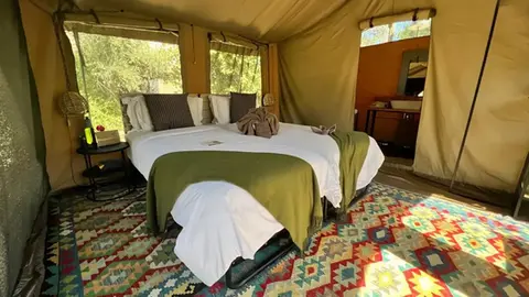 Best of Botswana safari lodge