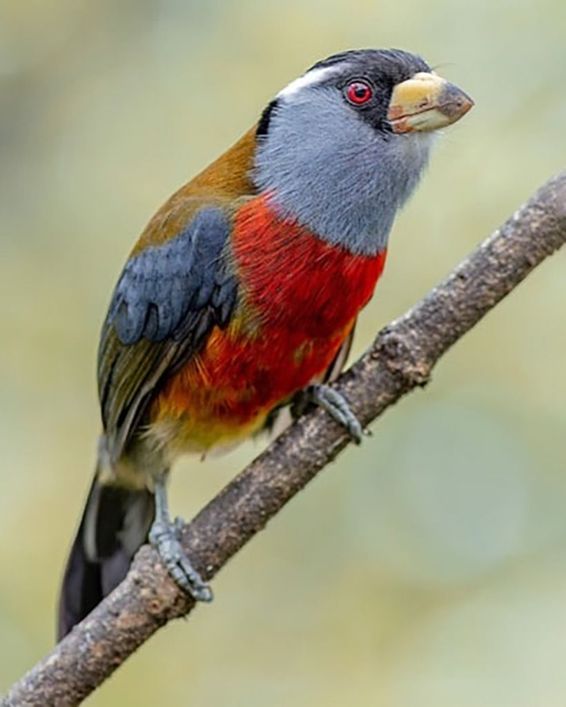 Ecuador Photo Tour – Wildlife, Culture & Landscapes