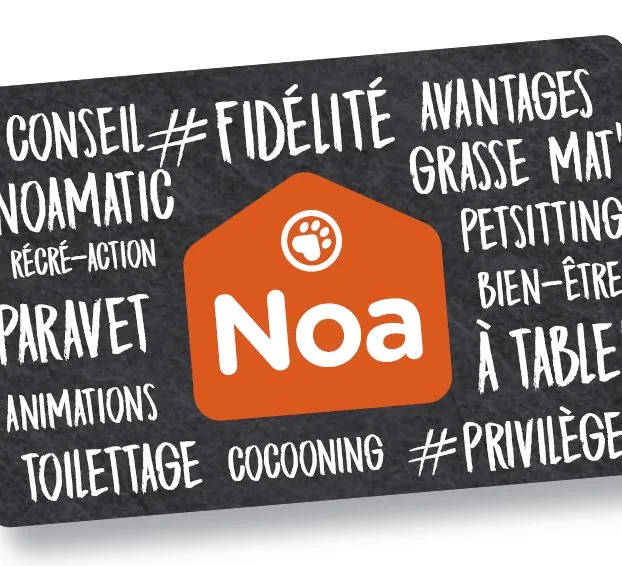 Noa La Maison Des Animaux Programme De Fidélité