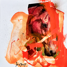 Equine -chevaux - portrait - animalité