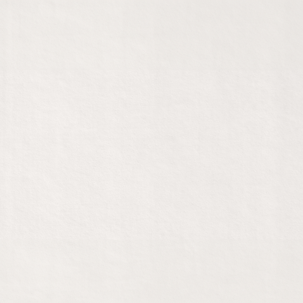 taler-nice-bg.png