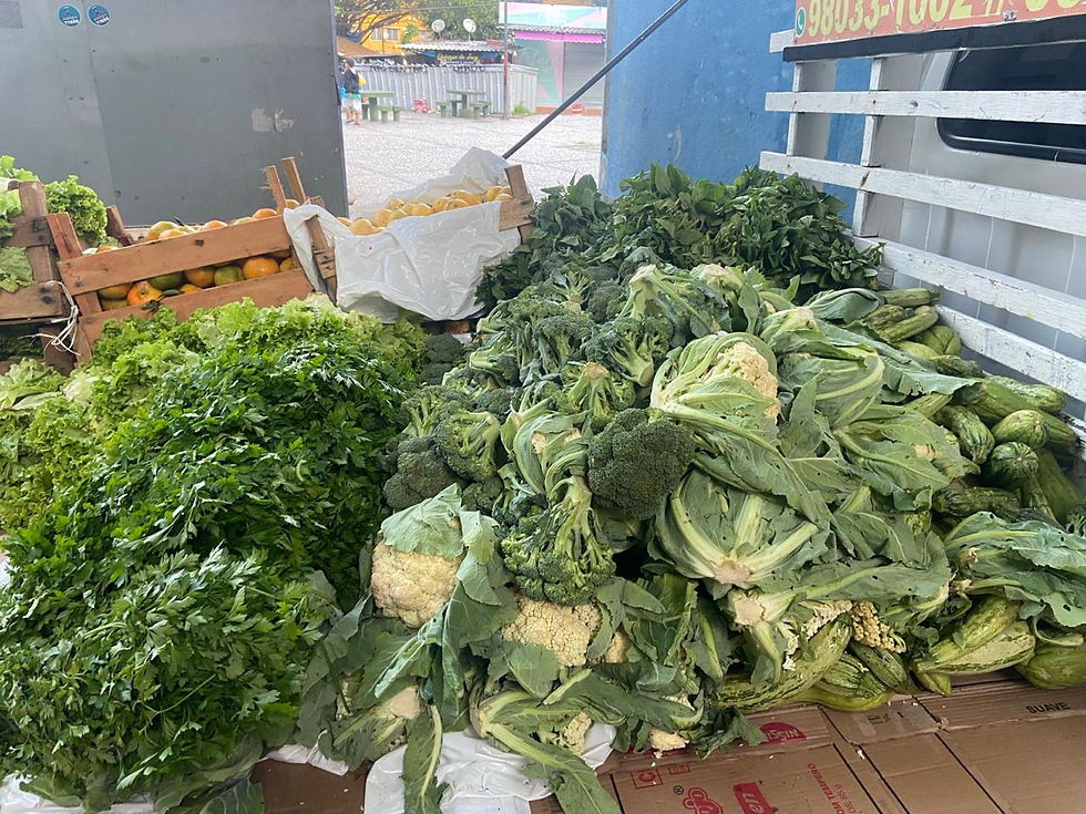 WhatsApp Image 2025-12-18 at 06.39.13 (3)