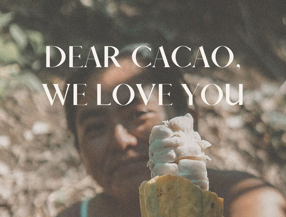 Fundraiser Kakaozeremonie: Cacao, we love you