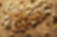 01E9A498-F8FF-4068-A100-89EC18DB7996-1200x795-1.png