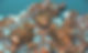 NTAMBWE - COPPER CONCENTRATE.jpg