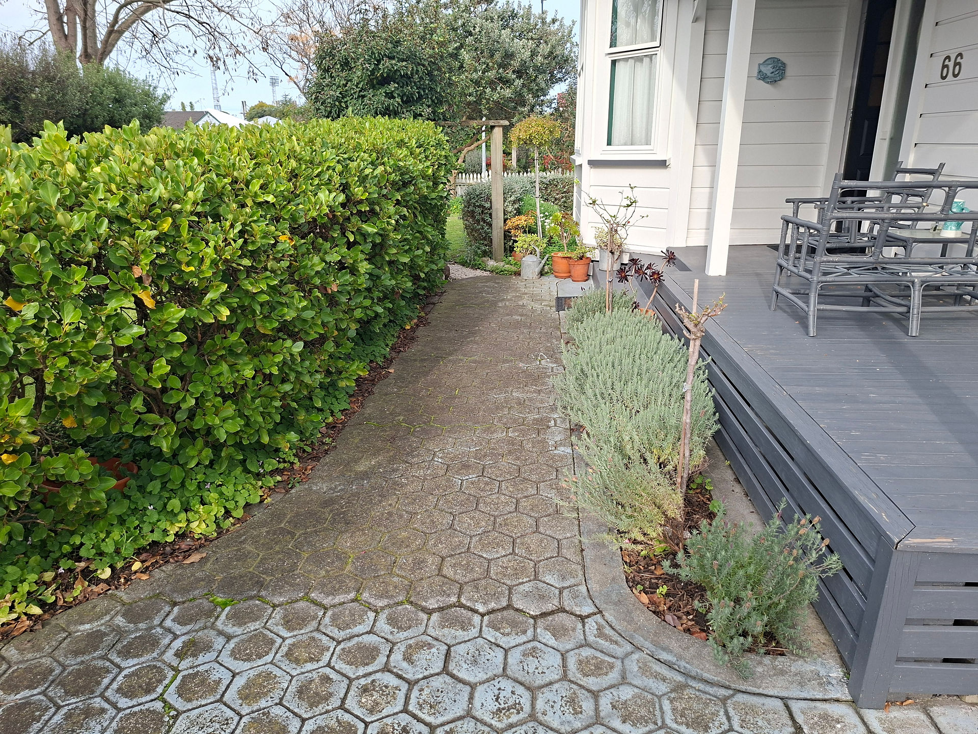 Existing paved driveway and pathway before concrete driveway installation in Napier