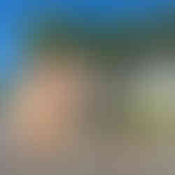 Scaffolding set up for painting