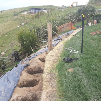 Timber retaining wall posts being positioned along terrace line in Napier