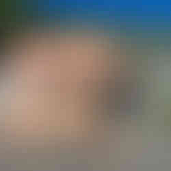 Scaffolding set up for painting