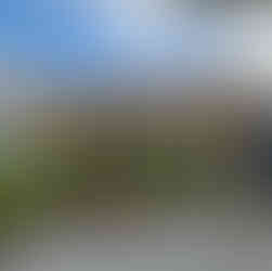 Finished macrocarpa pergola with polycarbonate flat roof