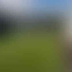 Backyard lawn enclosed with PVC fencing and neighbouring boundary fence in Hastings