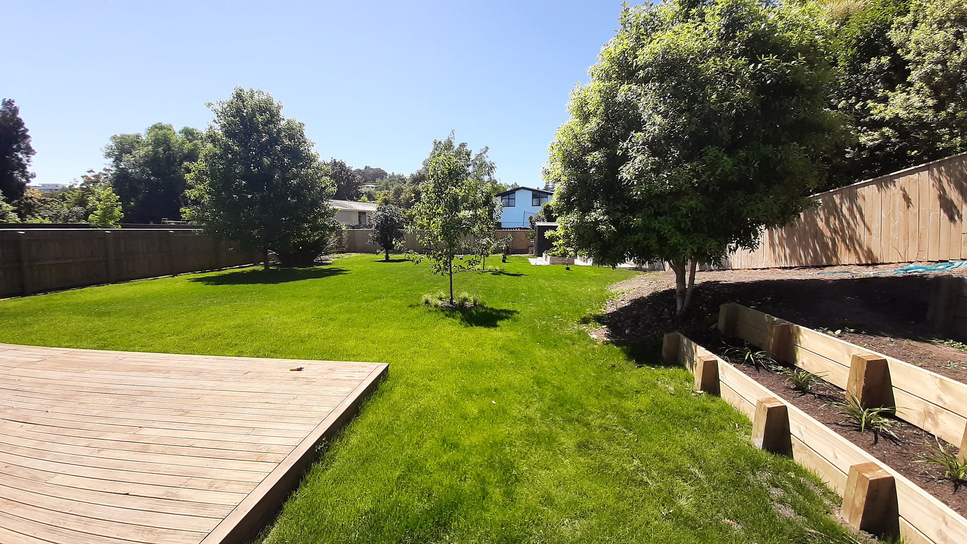 Fresh green lawn growing across newly levelled backyard in Havelock North landscaping projectFresh g