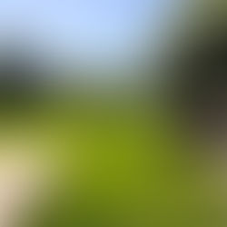 Complete Landscaping