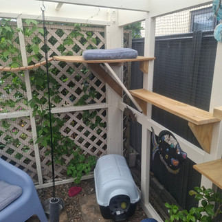 Custom-built cat shelves and resting platforms inside a Hawke's Bay catio.