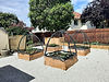 Copy of vegetable-garden-with-crop-protection-hoops-hastings.jpg