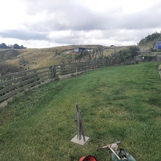 Wide view of sloped backyard with failing wood retaining wall in Napier