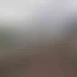 Finished PVC fencing posts providing privacy and security for Hastings home