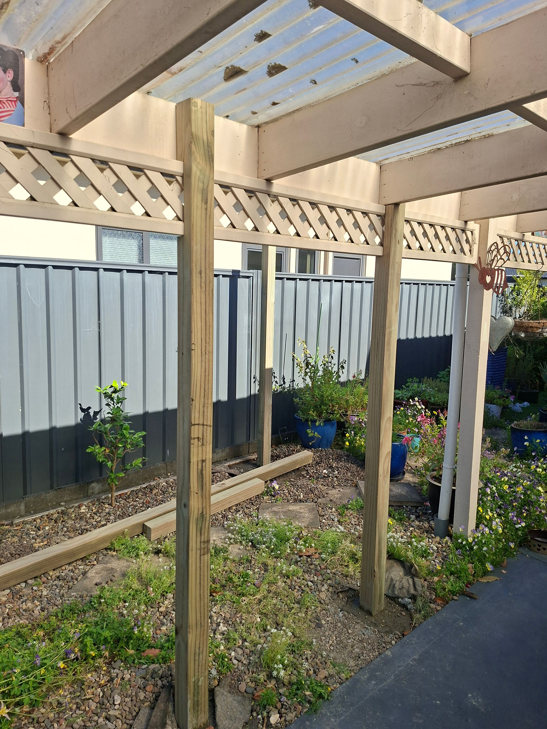 Timber posts installed as the first stage of a custom catio build in Hawke's Bay.