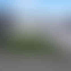 White PVC fence installed along residential lawn boundary in Hastings subdivision