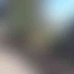 Digger clearing ground for new fence