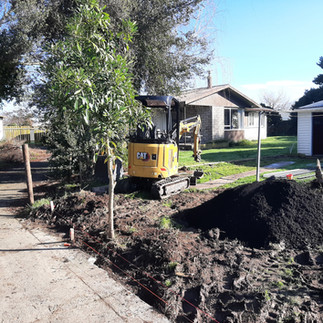 Digger clearing ground for new fence