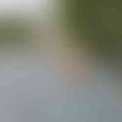 New covers on chimney