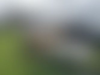 Macrocarpa pergola with flat roof