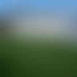 Decorative top PVC fence panels installed along backyard boundary in Hastings