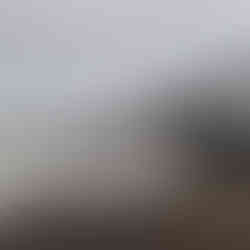 PVC fencing with gate installed enclosing backyard area of new build home in Hastings