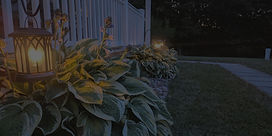 Outdoor lighting in flowerbeds with hostas