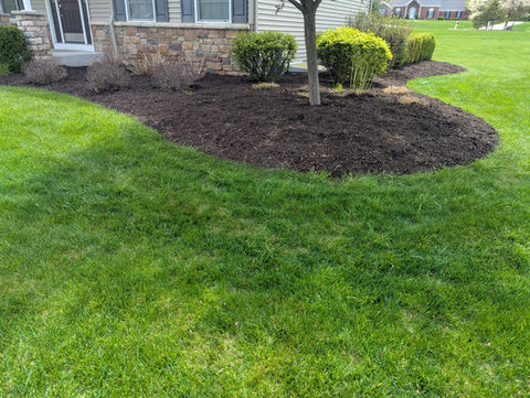 Dark brown mulch installed on flowerbeds in Granger IN
