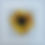 Thumbnail: "Sunshine" - James Klinge