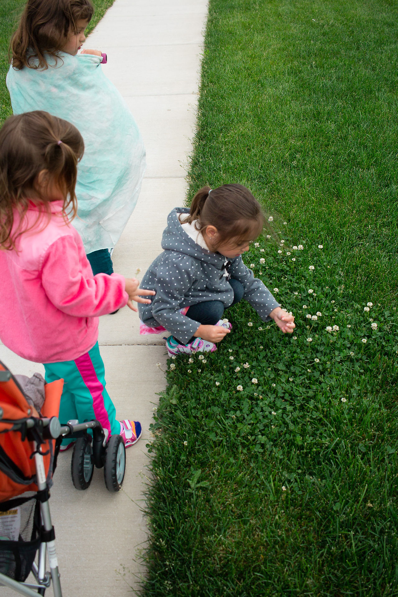 Flower Picking...