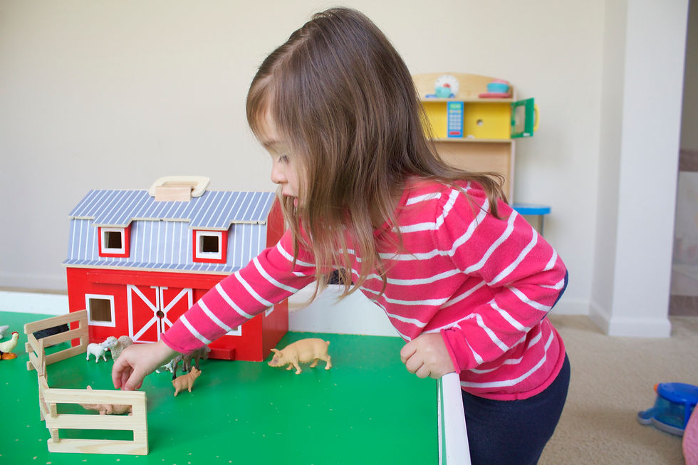 Playing farm at Blue Sky Daycare home daycare