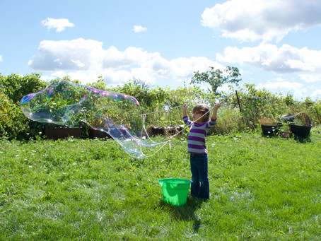 Giant Bubbles, Cupcakes, and Sunflowers