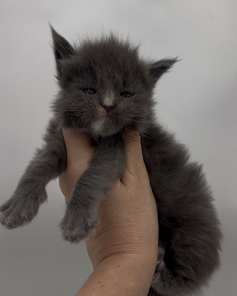 View recent photos.jpeg