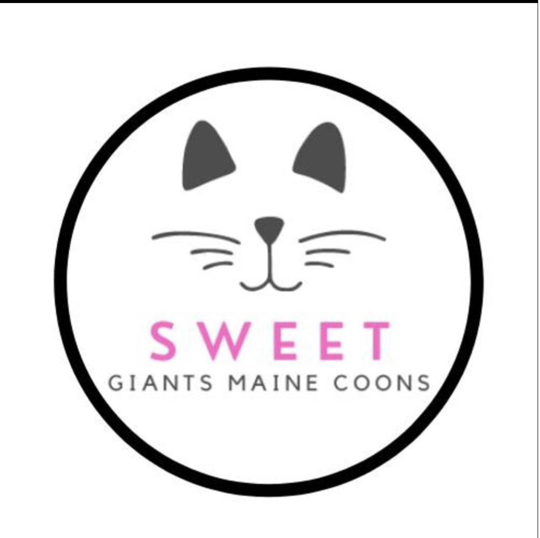 Sweet Giants Maine Coons logo