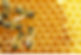 beehive.jpeg