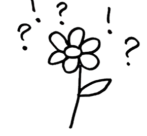 CamScanner 08-04-2021 12_edited.png