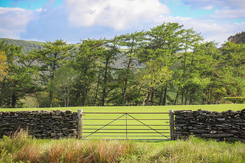 Metal gate within a dry stone wall in a green field.