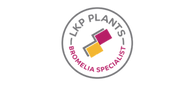 16 (1).png
